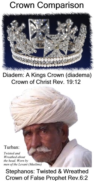 Crown Comparison Vertical