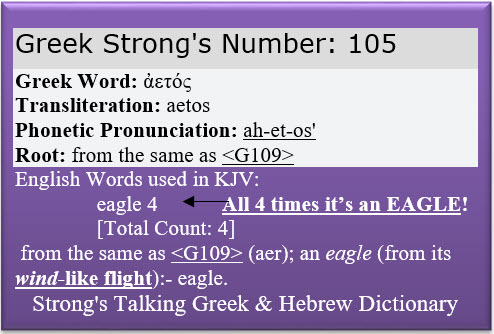 Strongs Eagle 105